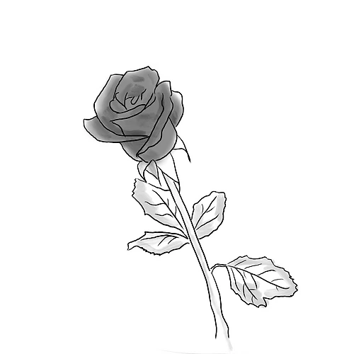 프로필 이미지
