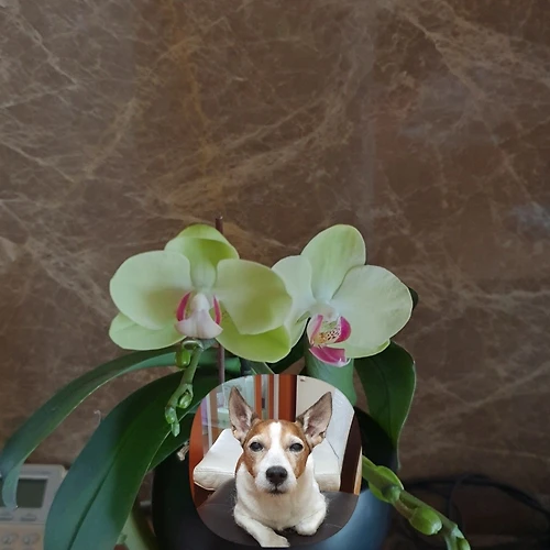 프로필 이미지