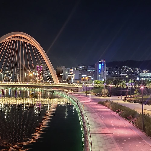 프로필