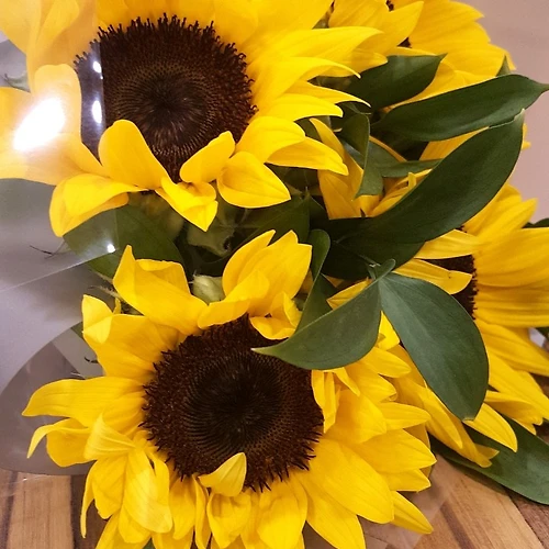 프로필 이미지