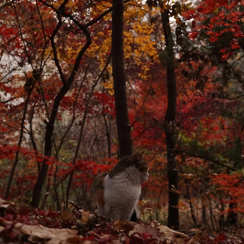 프로필 이미지