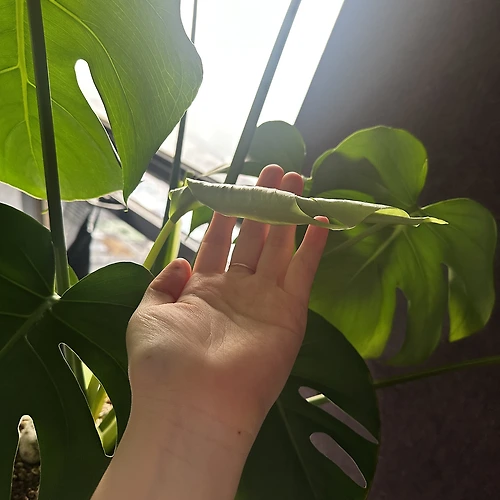 프로필
