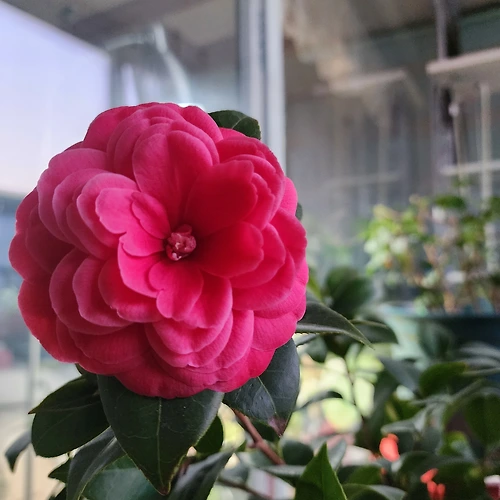프로필 이미지