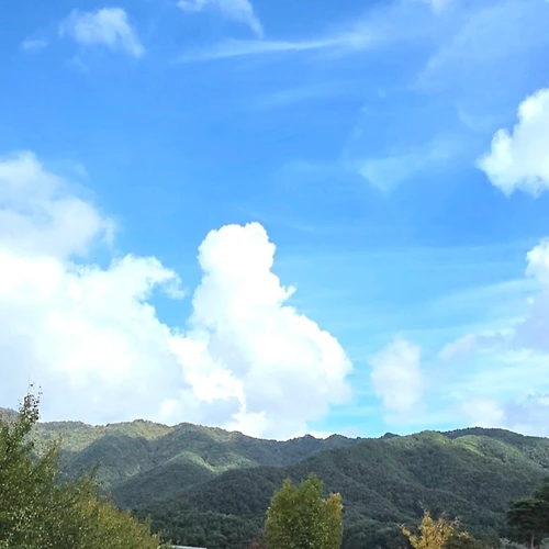 프로필