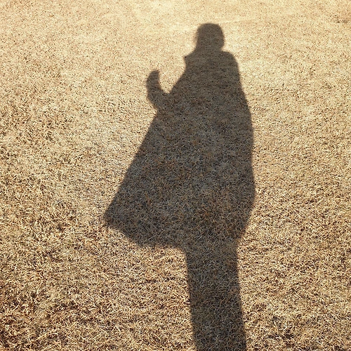 프로필