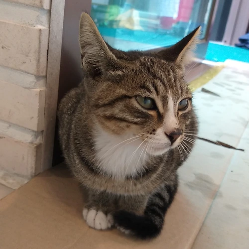 프로필 이미지
