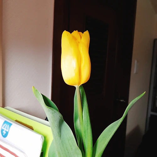 프로필 이미지