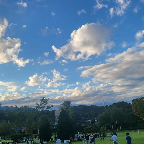 프로필 이미지
