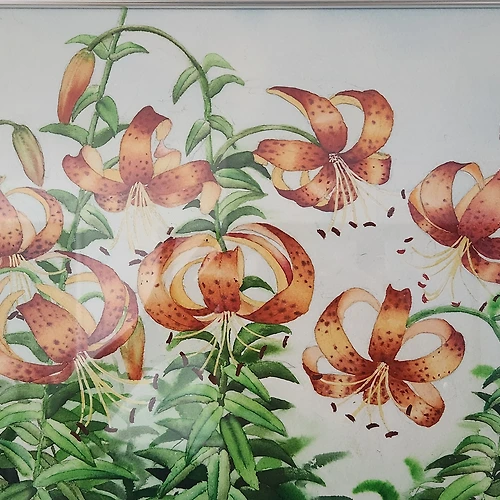 프로필 이미지