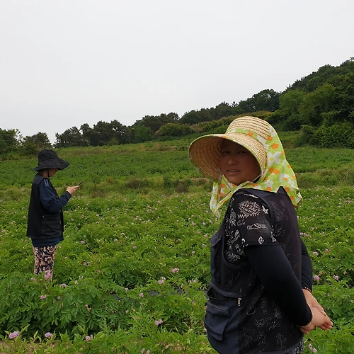 프로필 이미지