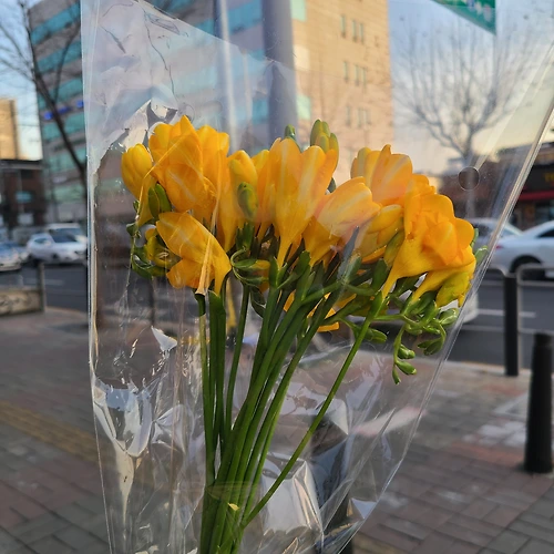 프로필 이미지