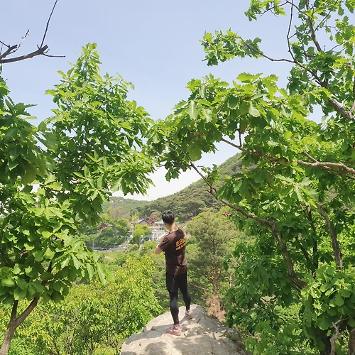 프로필 이미지