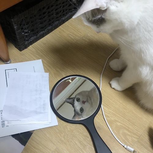 프로필 이미지