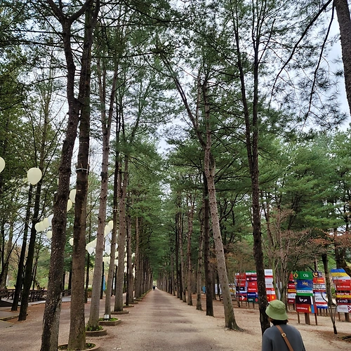 프로필 이미지