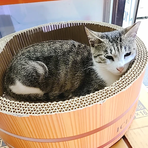 프로필 이미지