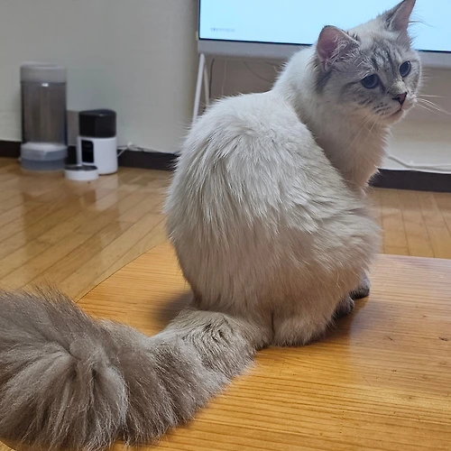 프로필