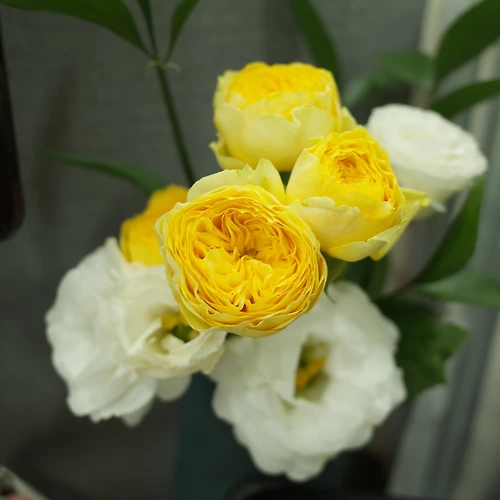 프로필 이미지