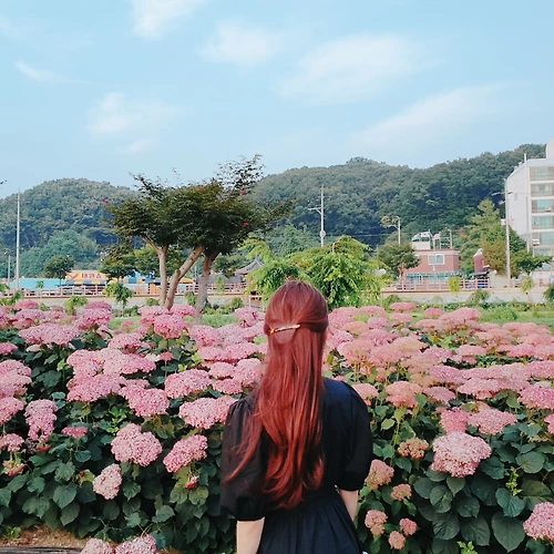 프로필 이미지