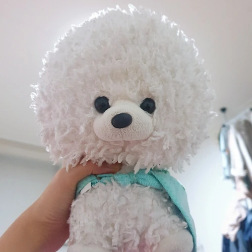 프로필 이미지