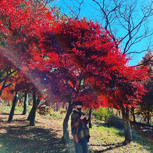 프로필 이미지