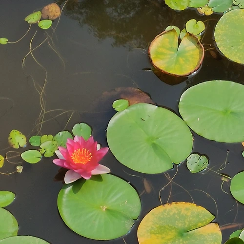 프로필 이미지