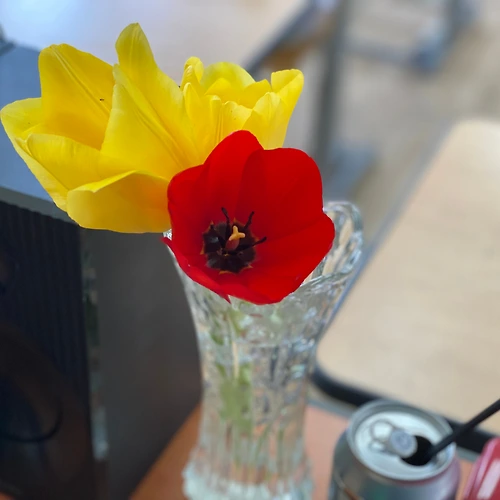 프로필 이미지
