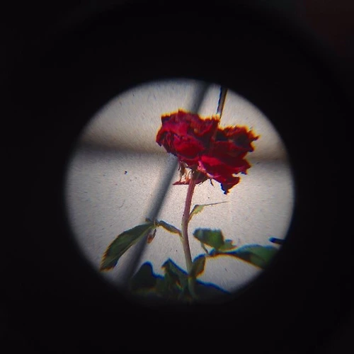 프로필 이미지