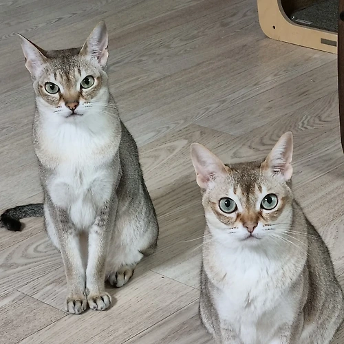 프로필 이미지