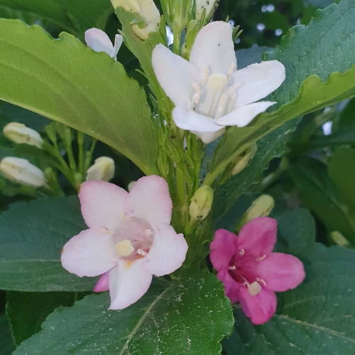 프로필
