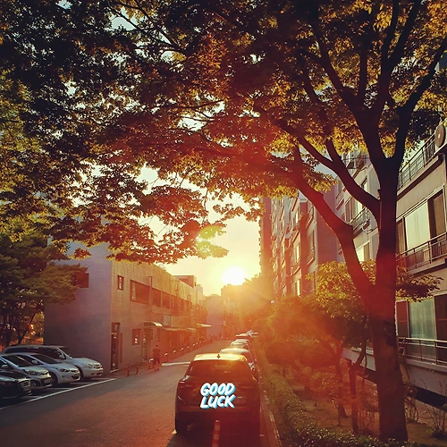 프로필 이미지