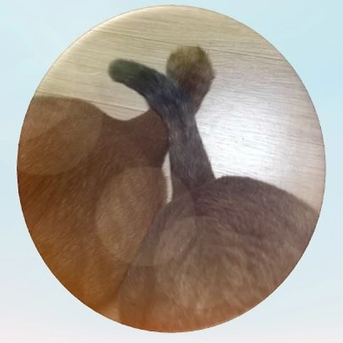 프로필 이미지