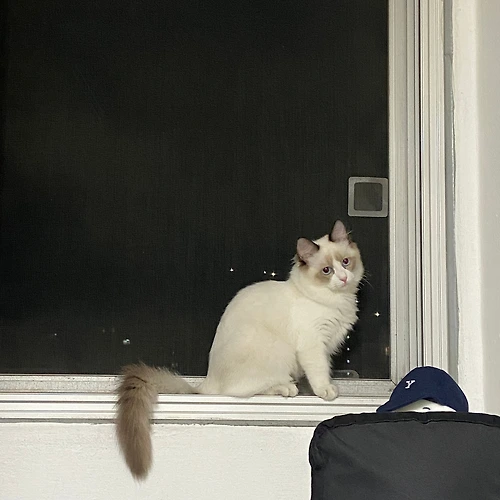 프로필 이미지