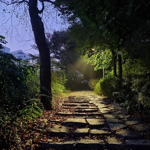 프로필