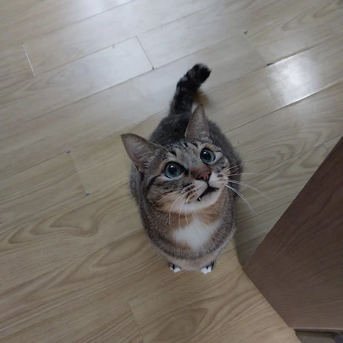 프로필 이미지