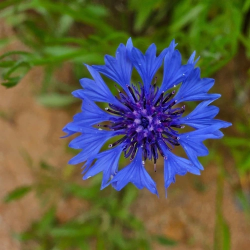 프로필