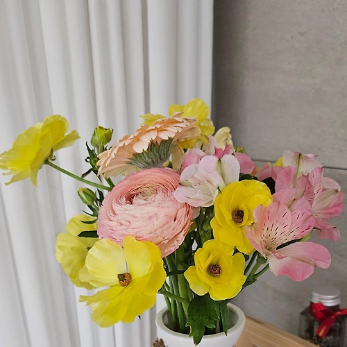 프로필 이미지