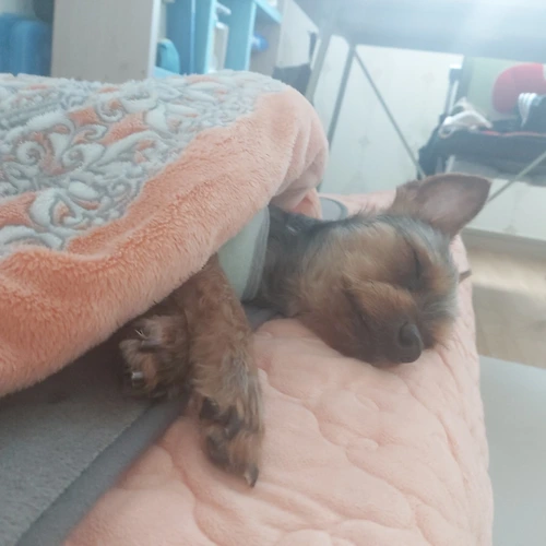프로필 이미지
