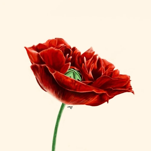 프로필 이미지