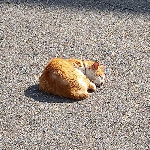 프로필