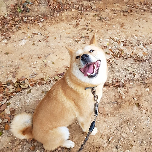 프로필 이미지