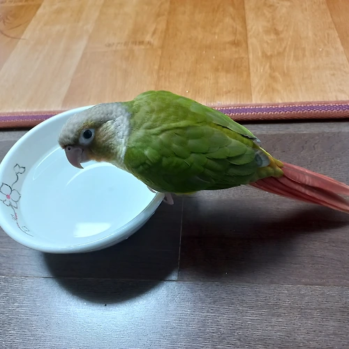 프로필 이미지
