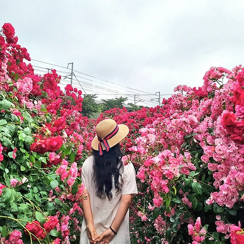 프로필 이미지