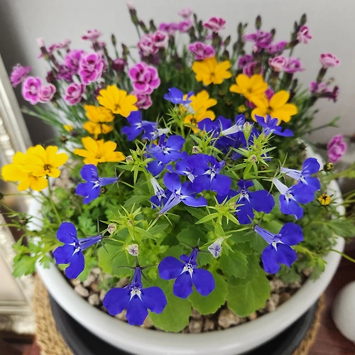 프로필 이미지