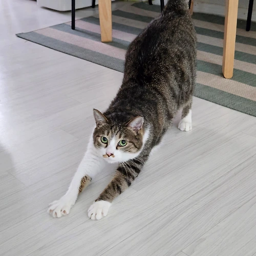 프로필 이미지