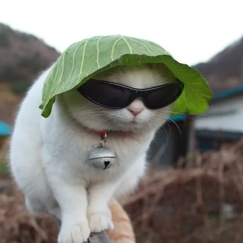 프로필 이미지