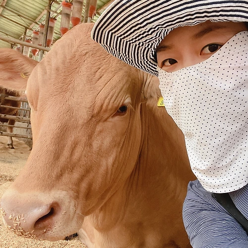 프로필 이미지