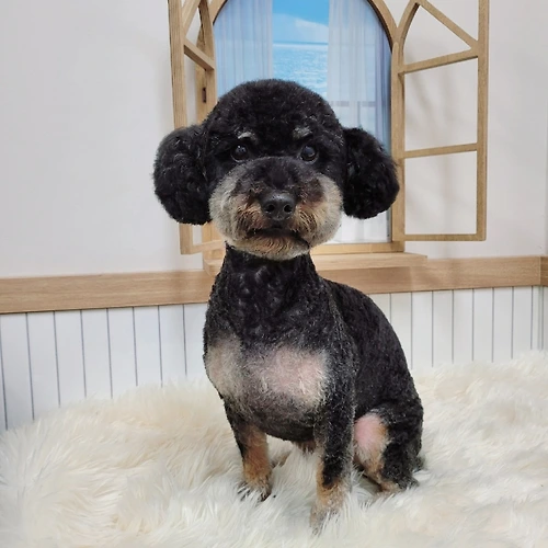 프로필 이미지