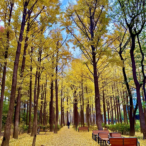 프로필