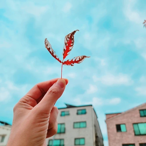 프로필 이미지