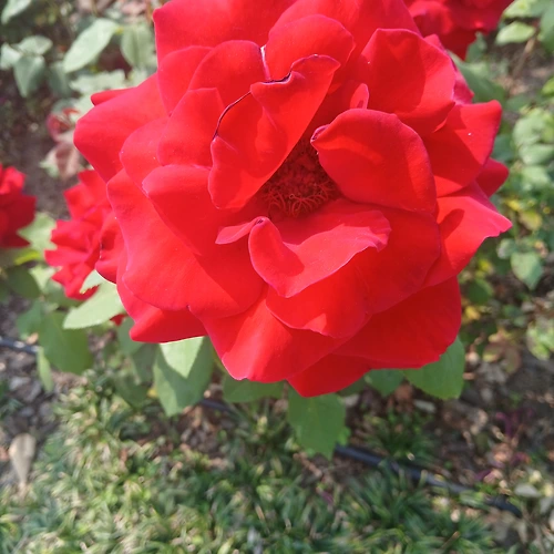 프로필 이미지